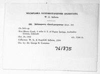 Image Associated With the Occurence